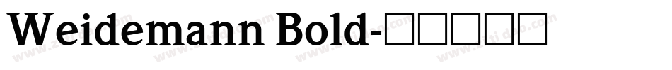 Weidemann Bold字体转换